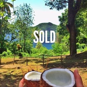 🌴 SOLD 🌴